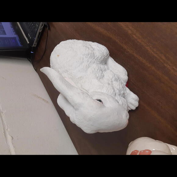 Adorable Ceramic Bunny Set with Planter - Picture 5 of 6